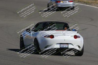 media/Nov-03-2023-Club Racer Events (Fri) [[fd9eff64e3]]/Yellow/Back Shots/